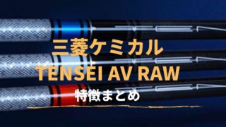 TENSEI AV RAW特徴&取扱い店